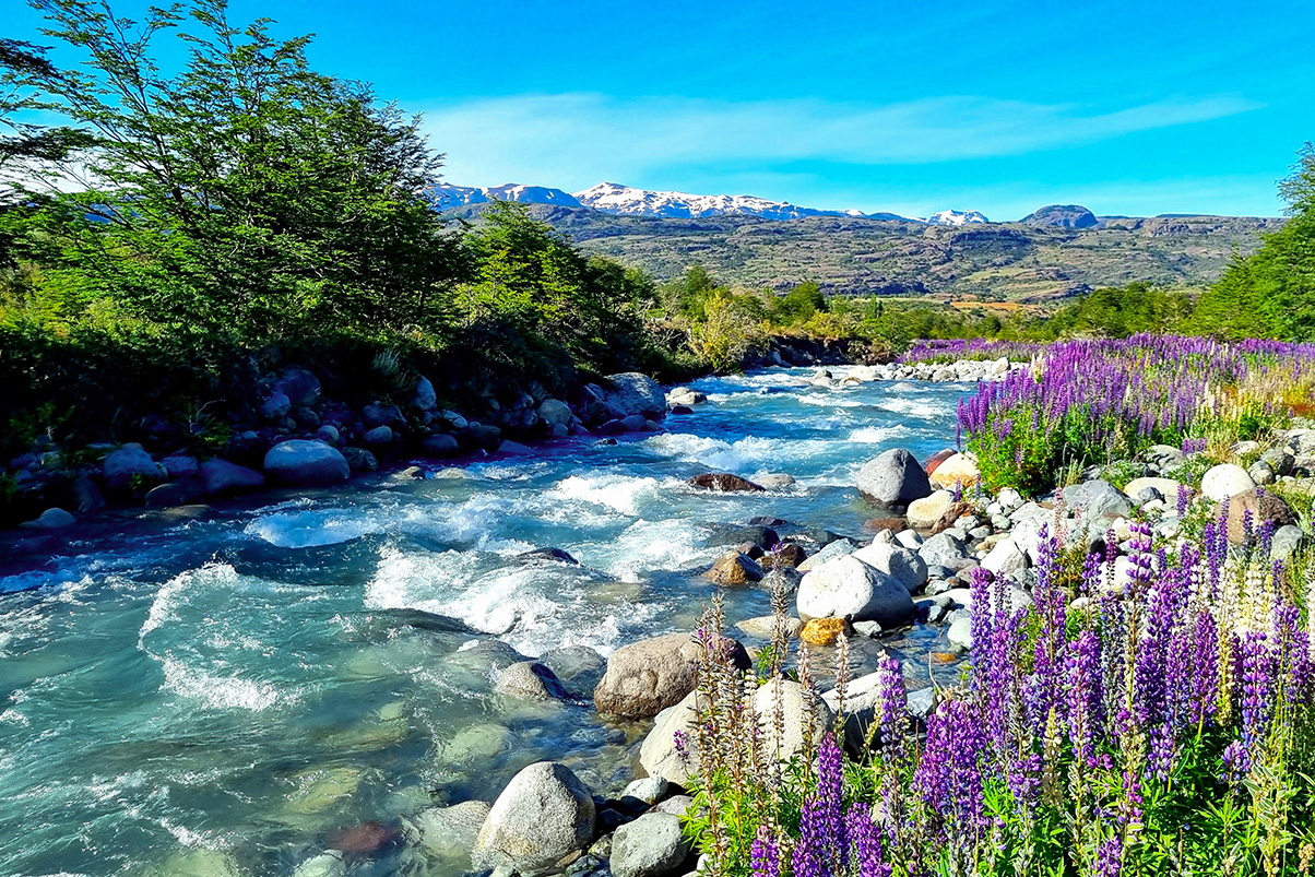 Aspectos clave para la compra de derechos de agua en Chile: requisitos legales y técnicos