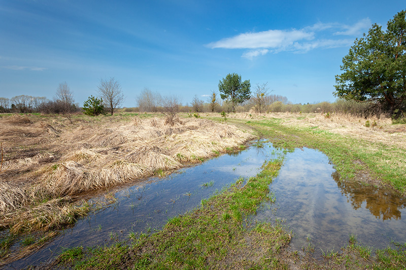 ¿Se pueden comprar derechos de agua en zonas de prohibición en Chile?