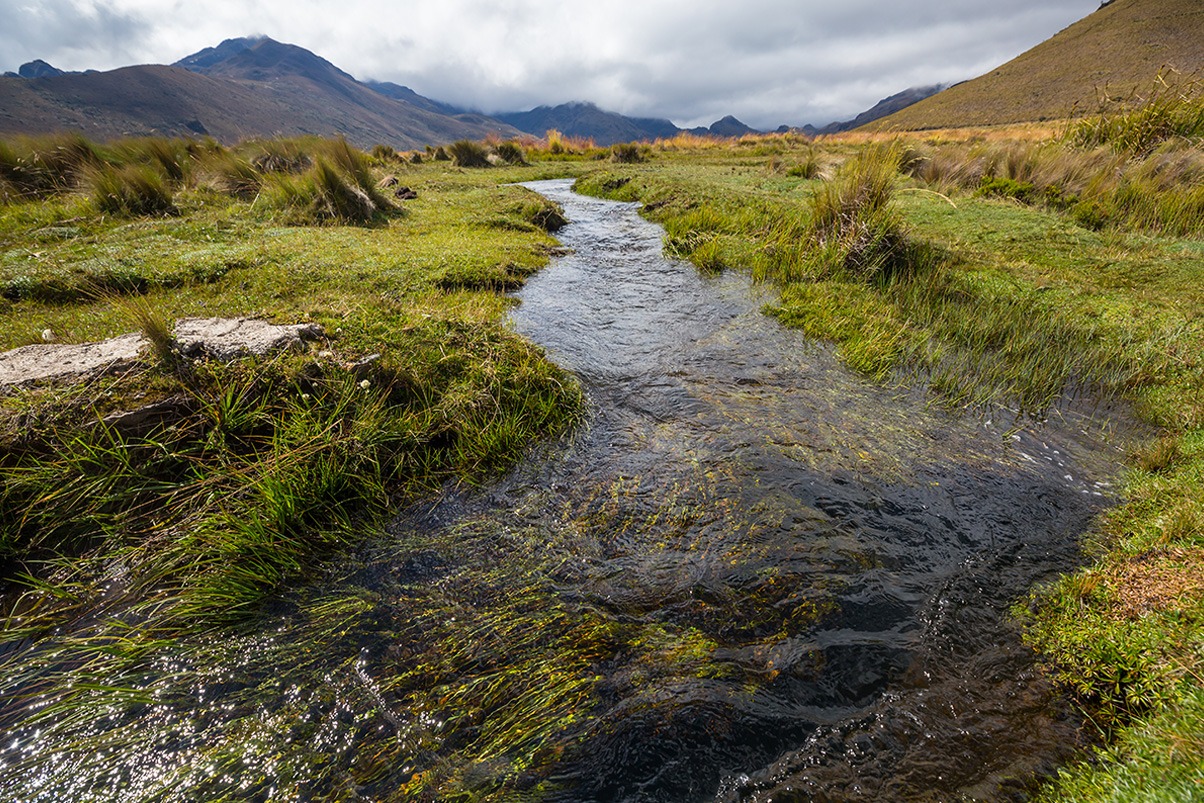 Compra de derechos de agua en Chile: cómo evaluar  oportunidad real desde el análisis técnico y legal