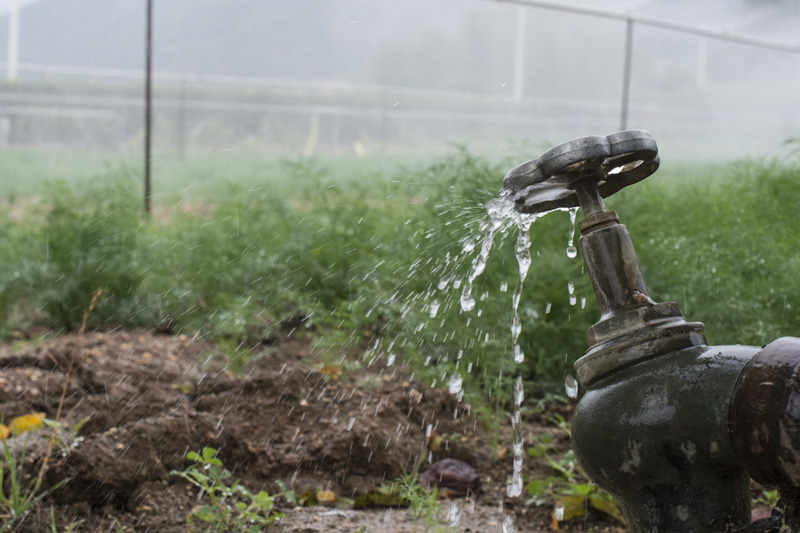 Cómo tasar Derechos de Agua en Chile: Guía técnica de Actiagro para una valoración legal y de mercado