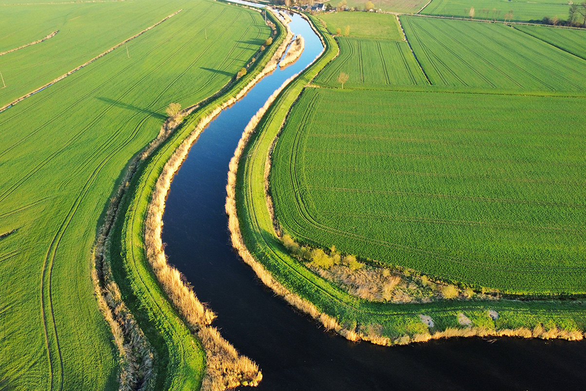 Todo sobre la Patente por No Uso de Derechos de Agua en Chile: Plazos, Requisitos y Tramitación
