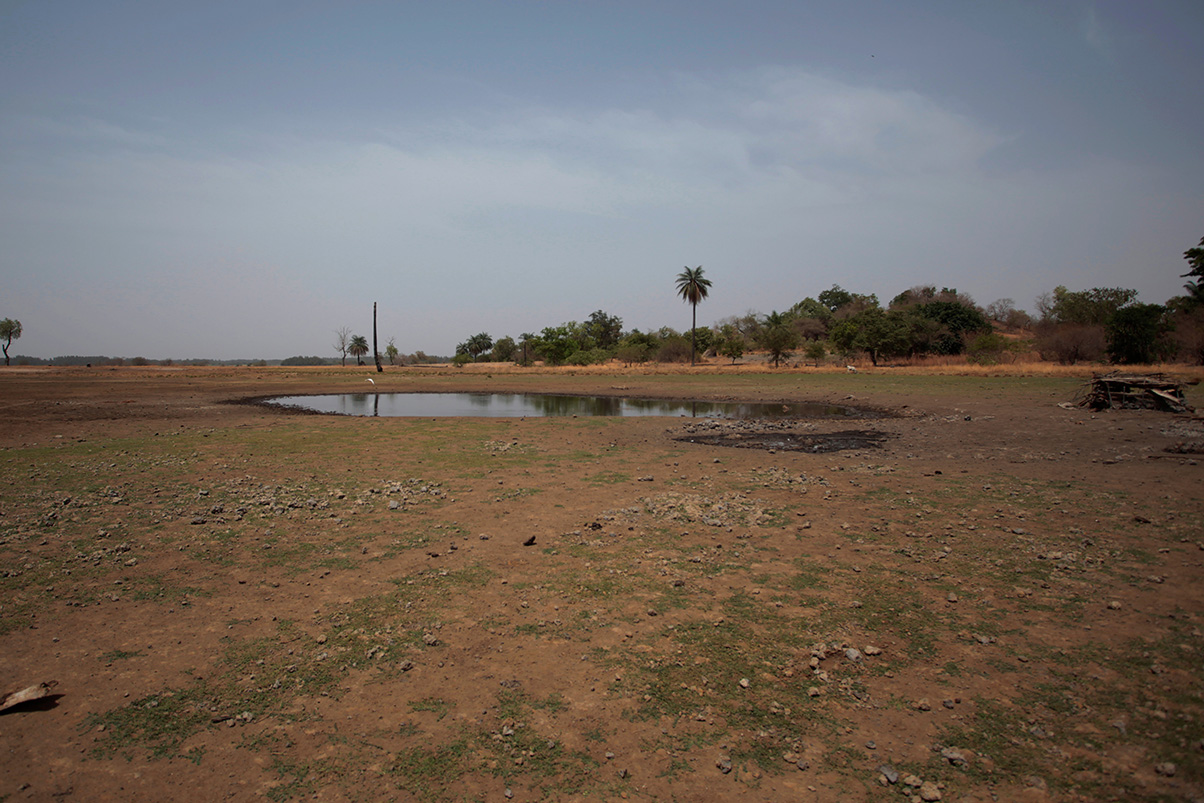 Análisis de la situación hídrica en O’Higgins (2026–2029): impacto en el mercado de derechos de agua