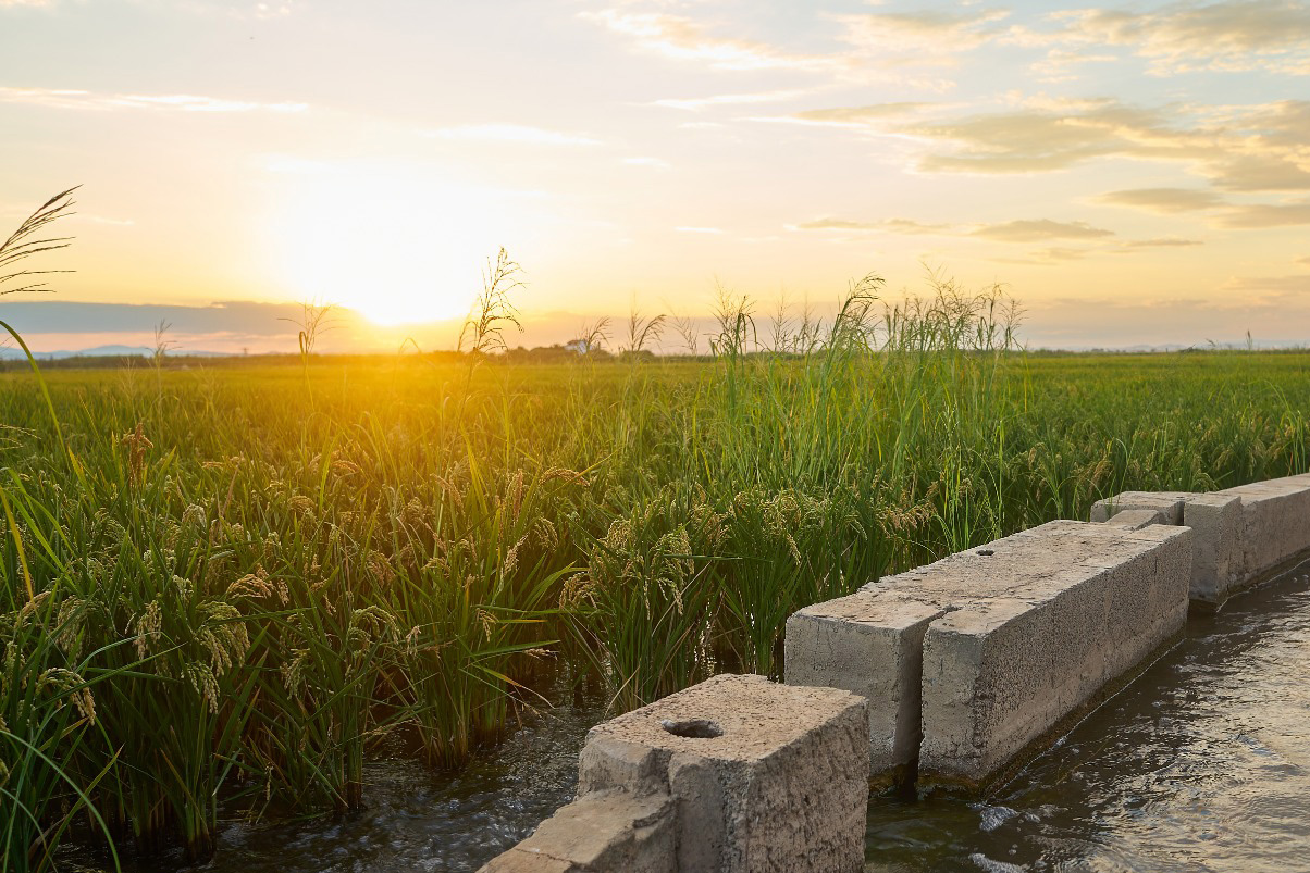 Actiagro fortalece su presencia en el sector industrial: Nos adjudicamos nuevo convenio de corretaje de derechos de aguas con importante empresa de distribución de combustibles