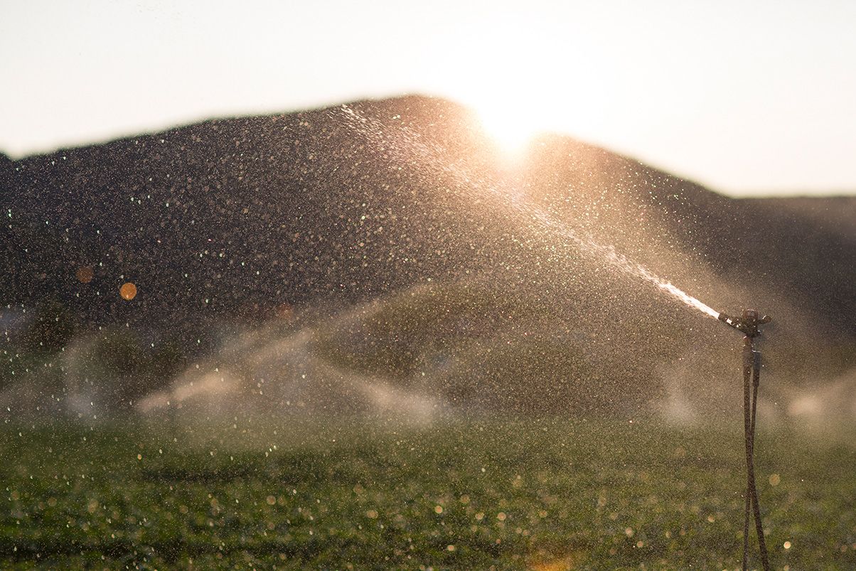 ¿Qué son las patentes por no uso de derechos de agua y qué pasa si no pago en 2026?