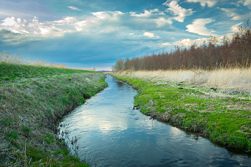 Sectores Acuíferos con Prohibición: Marco regulatorio y efectos en la compra y venta de derechos de agua en Chile