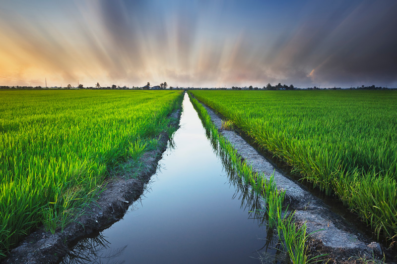 Derechos de Agua y Predios Agrícolas en Chile: Por qué es Importante Asesorarse con un Corredor Experto